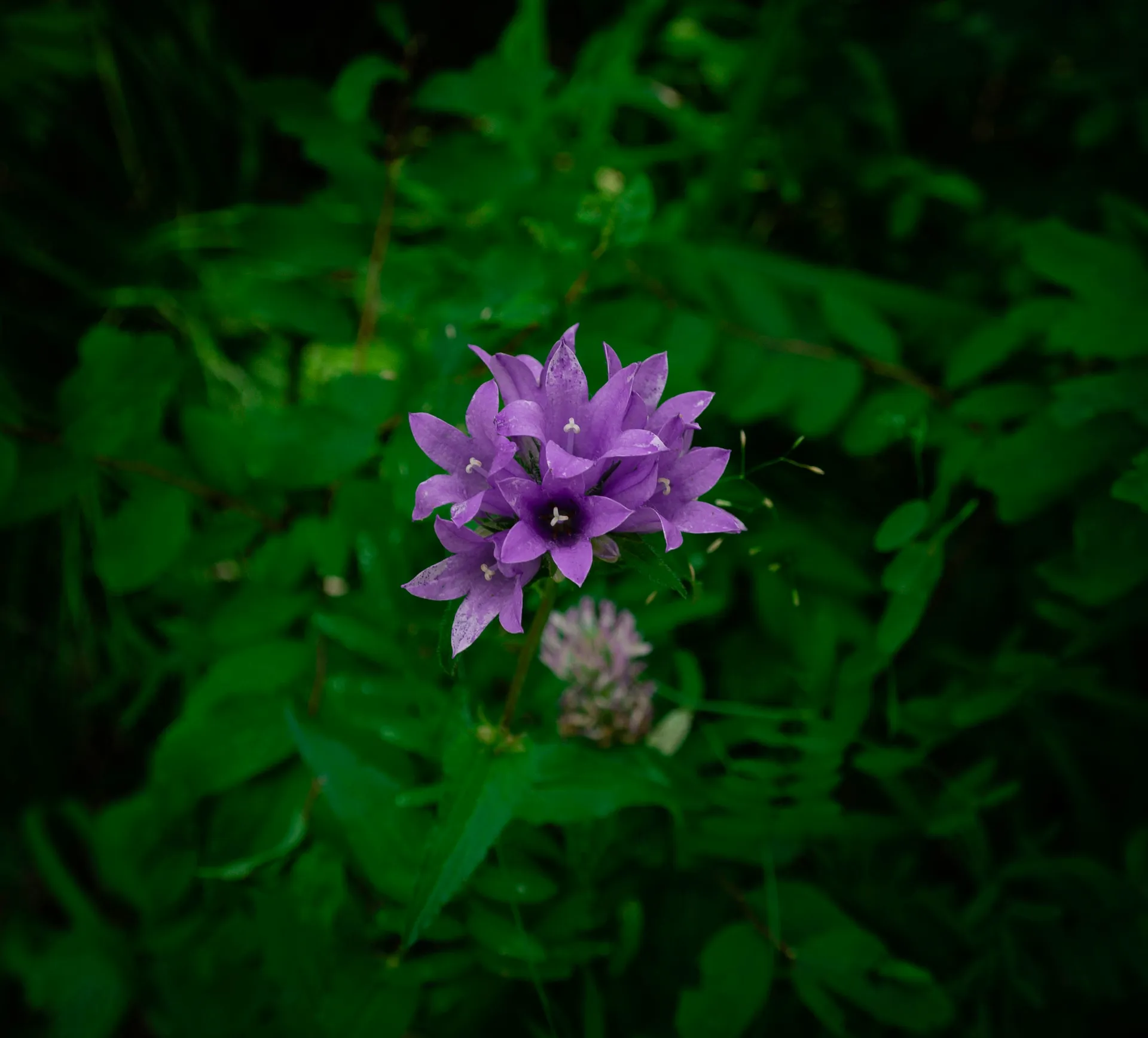 A long, straight road stretching towards a distant horizon under a clear sky, symbolizing a journey.