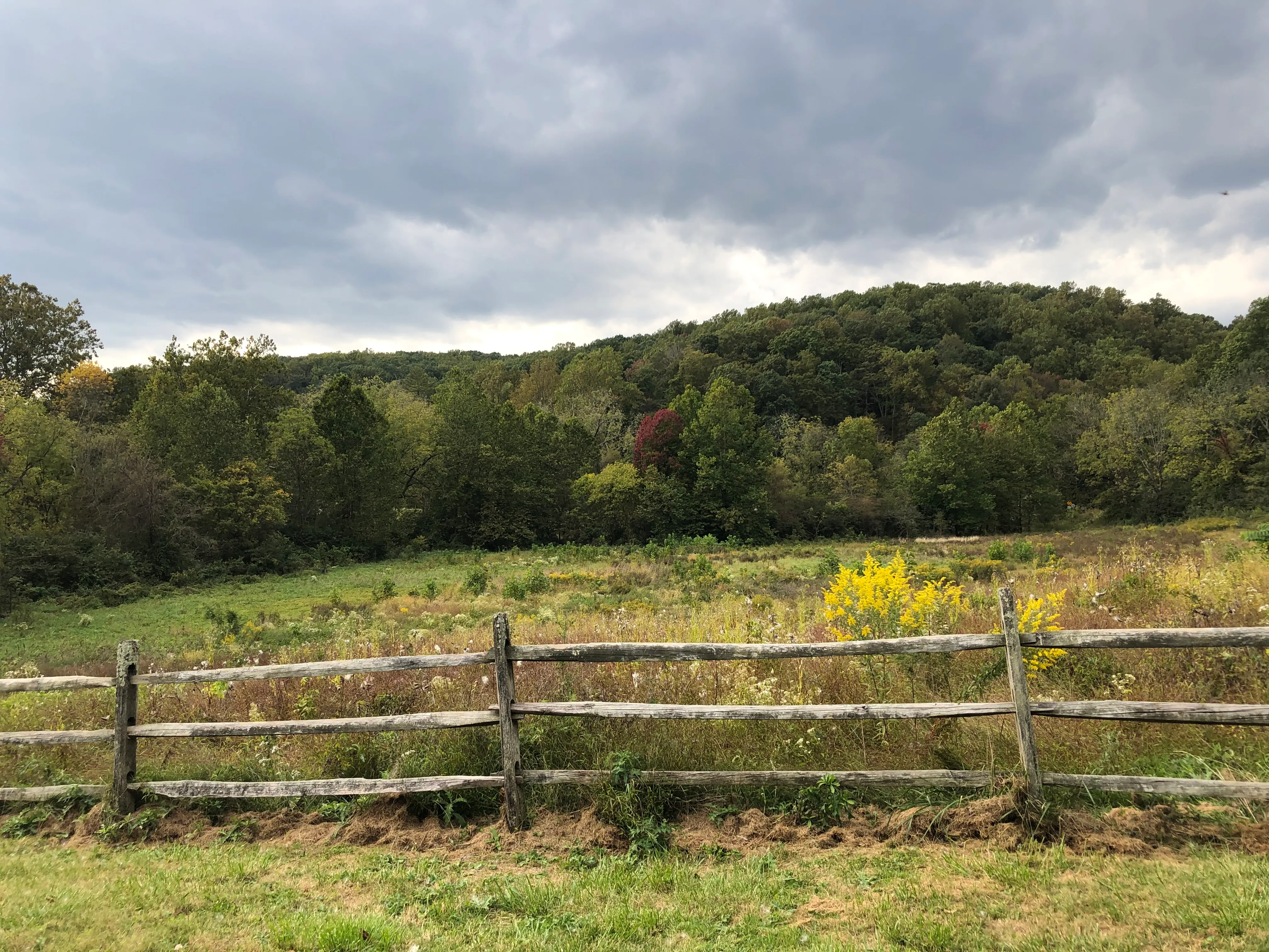 A beautiful green field